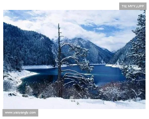 冬季湖畔旅行的隐秘魅力与独特体验你了解多少
