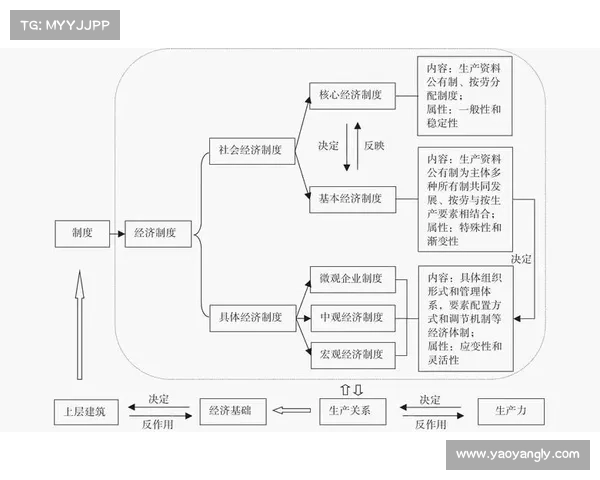 探索以然并卵网站背后的奇妙现象与深层次逻辑解析